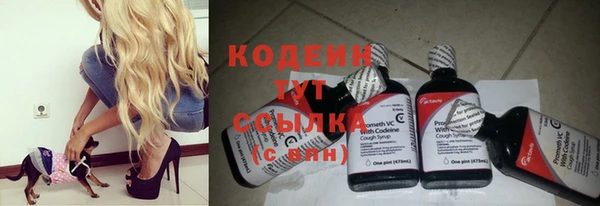 СК Горнозаводск