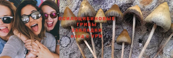 бошки Горно-Алтайск