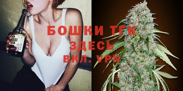 СК Горнозаводск