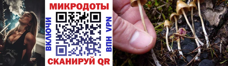Псилоцибиновые грибы мухоморы  Октябрьск 