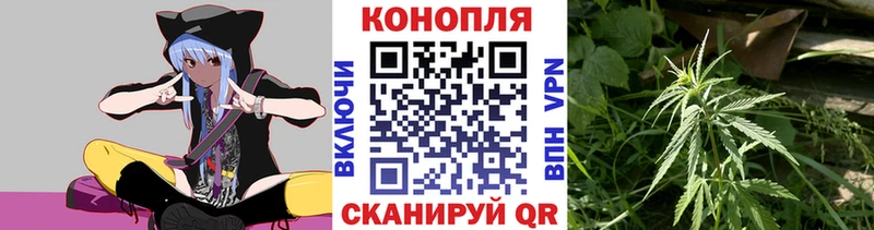 где купить   Октябрьск  Каннабис семена 